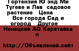 Гортензия Ю энд Ми Тугеве и Лав, садовое растение › Цена ­ 550 - Все города Сад и огород » Другое   . Ненецкий АО,Каратайка п.